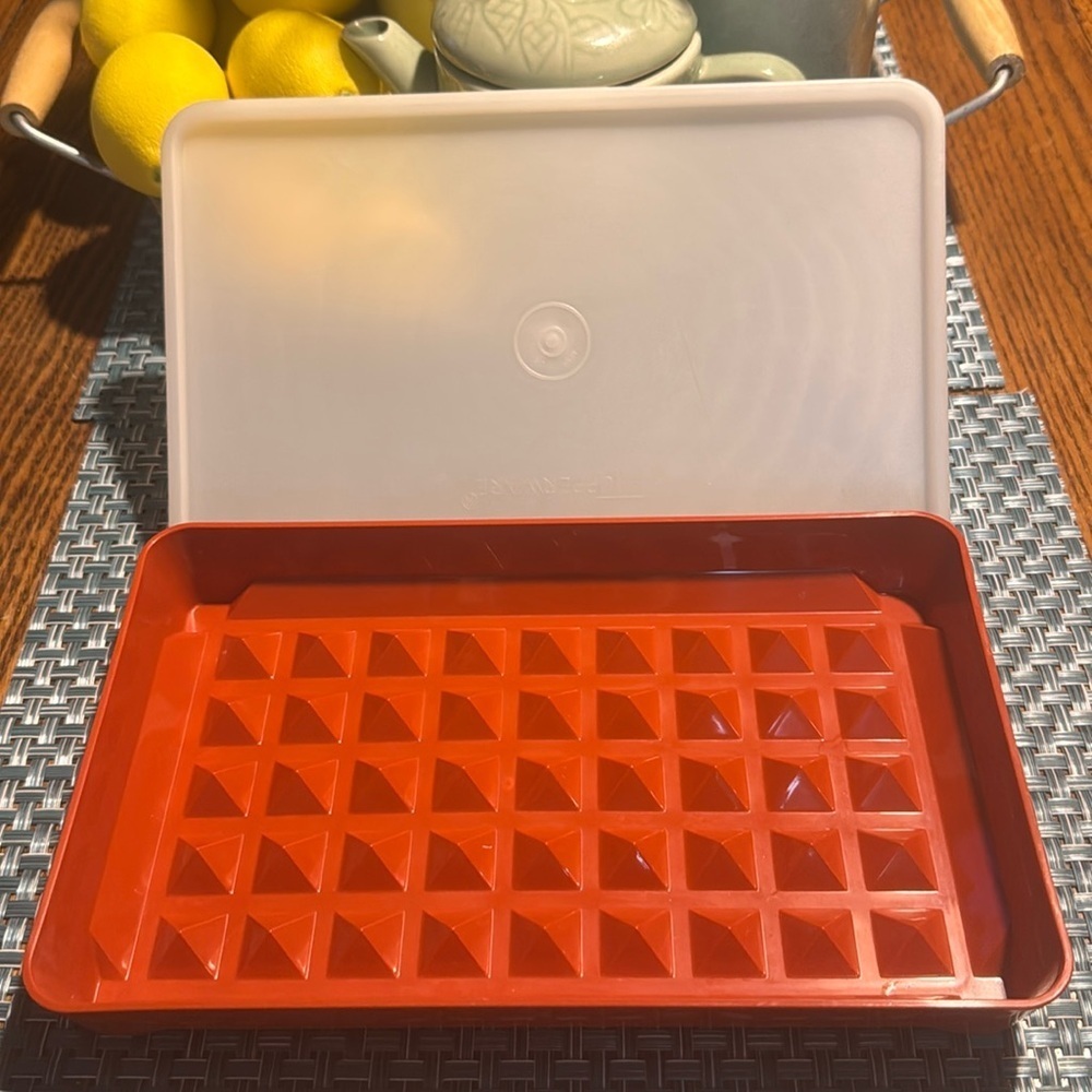 Vintage Tupperware Hot Dog Keeper Storage Container